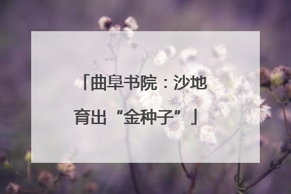曲阜书院：沙地育出“金种子”