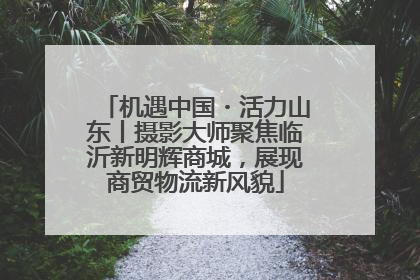 机遇中国・活力山东丨摄影大师聚焦临沂新明辉商城，展现商贸物流新风貌