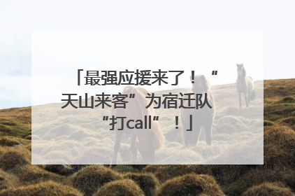 最强应援来了！“天山来客”为宿迁队“打call”！