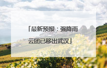 最新预报：强降雨云团已移出武汉