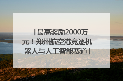 最高奖励2000万元！郑州航空港竞逐机器人与人工智能赛道