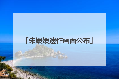 朱媛媛遗作画面公布