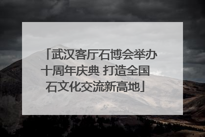 武汉客厅石博会举办十周年庆典 打造全国石文化交流新高地