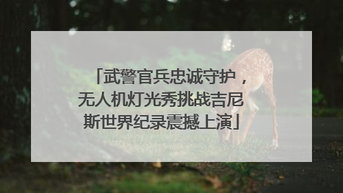 武警官兵忠诚守护，无人机灯光秀挑战吉尼斯世界纪录震撼上演