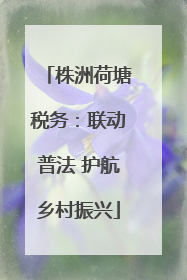 株洲荷塘税务：联动普法 护航乡村振兴