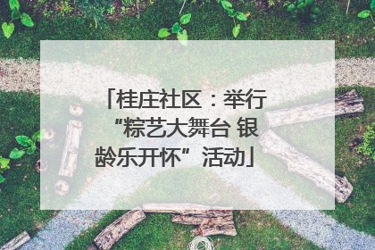 桂庄社区：举行“粽艺大舞台 银龄乐开怀”活动