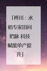 桦川：水稻专家田间把脉 科技赋能单产提升