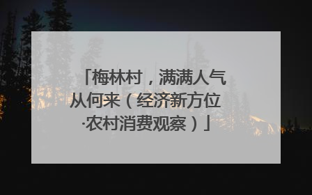 梅林村，满满人气从何来（经济新方位·农村消费观察）
