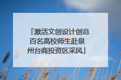 激活文创设计创意 百名高校师生赴泉州台商投资区采风