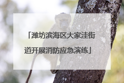 潍坊滨海区大家洼街道开展消防应急演练