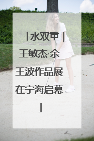 水双重｜王敏杰·余王波作品展在宁海启幕