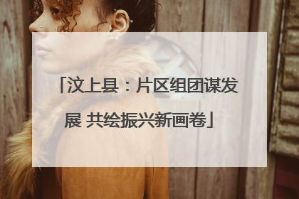 汶上县：片区组团谋发展 共绘振兴新画卷