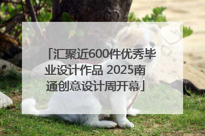 汇聚近600件优秀毕业设计作品 2025南通创意设计周开幕