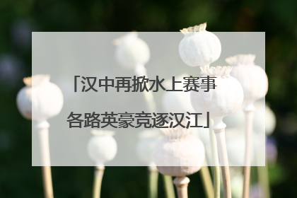 汉中再掀水上赛事 各路英豪竞逐汉江