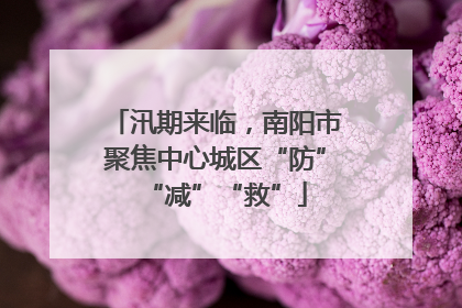 汛期来临，南阳市聚焦中心城区“防”“减”“救”