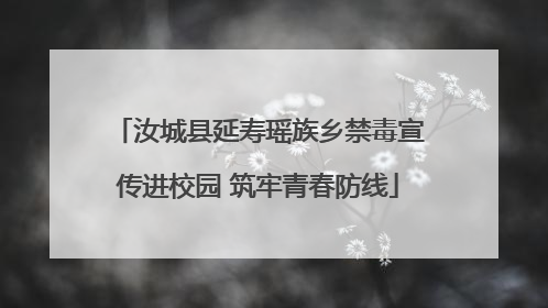 汝城县延寿瑶族乡禁毒宣传进校园 筑牢青春防线