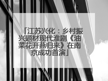 江苏兴化：乡村振兴题材现代淮剧《油菜花开燕归来》在南京成功首演