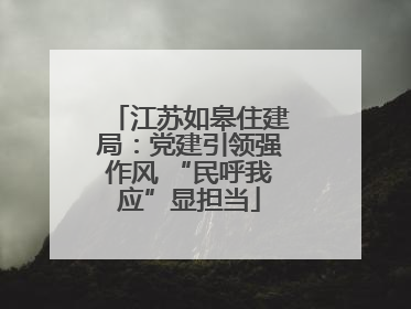 江苏如皋住建局：党建引领强作风 “民呼我应”显担当