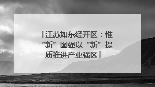 江苏如东经开区：惟“新”图强以“新”提质推进产业强区