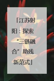 江苏射阳：探索“三链融合”助残新范式