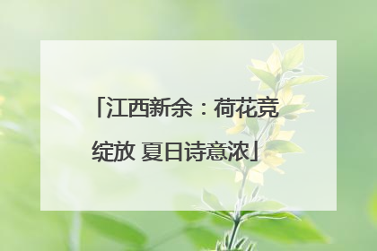 江西新余：荷花竞绽放 夏日诗意浓