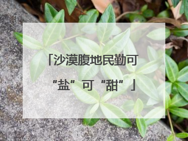 沙漠腹地民勤可“盐”可“甜”