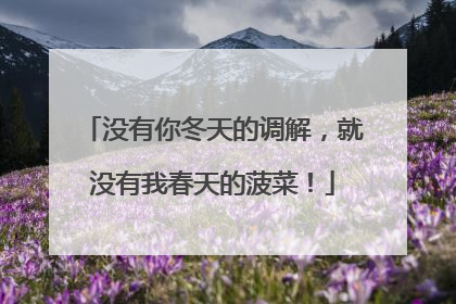 没有你冬天的调解，就没有我春天的菠菜！