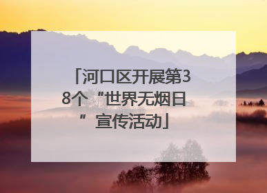 河口区开展第38个“世界无烟日”宣传活动