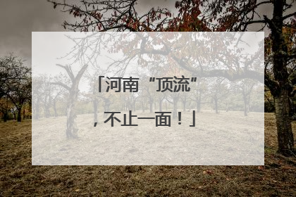 河南“顶流”，不止一面！