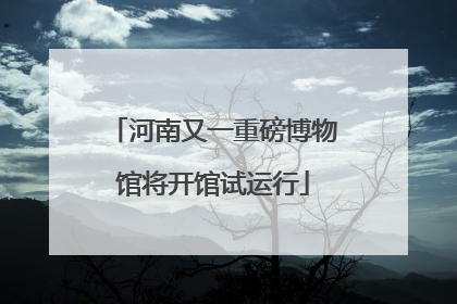 河南又一重磅博物馆将开馆试运行