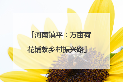 河南镇平：万亩荷花铺就乡村振兴路