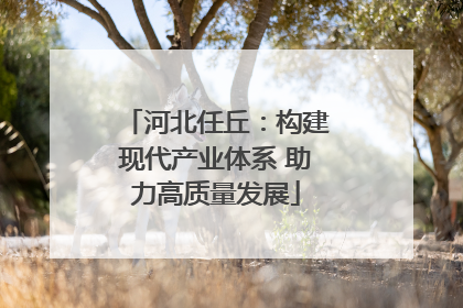河北任丘：构建现代产业体系 助力高质量发展