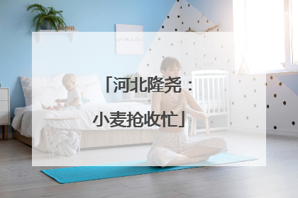 河北隆尧：小麦抢收忙