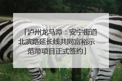 泸州龙马潭：安宁街道北滨路延长线共同富裕示范带项目正式签约
