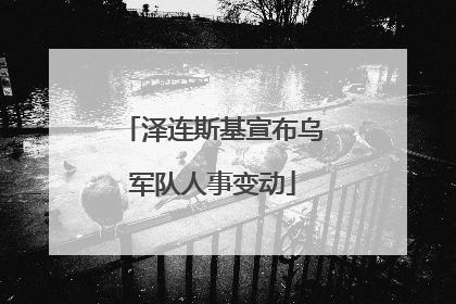 泽连斯基宣布乌军队人事变动