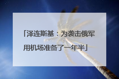泽连斯基：为袭击俄军用机场准备了一年半