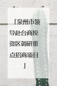 泉州市领导赴台商投资区调研重点招商项目