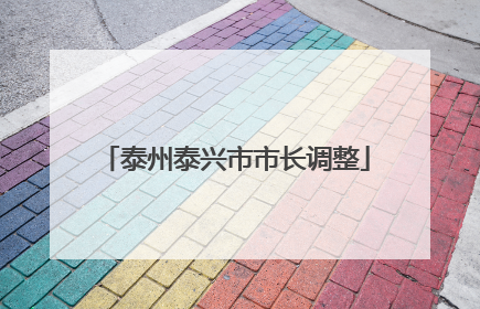 泰州泰兴市市长调整