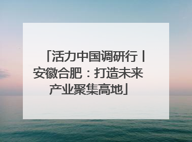 活力中国调研行丨安徽合肥：打造未来产业聚集高地