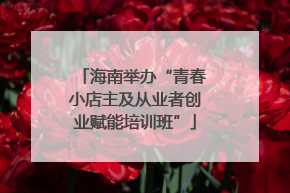海南举办“青春小店主及从业者创业赋能培训班”