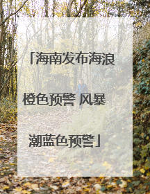 海南发布海浪橙色预警 风暴潮蓝色预警