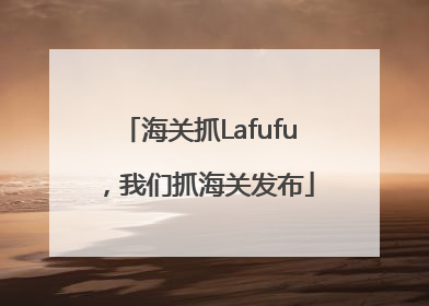 海关抓Lafufu，我们抓海关发布