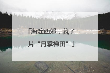 海淀西郊，藏了一片“月季梯田”