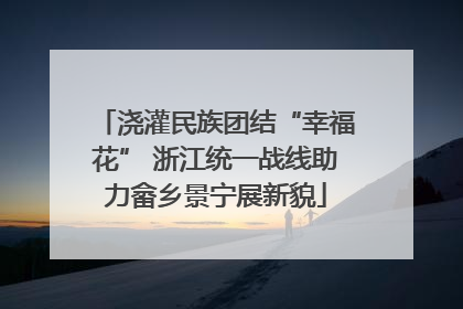 浇灌民族团结“幸福花” 浙江统一战线助力畲乡景宁展新貌