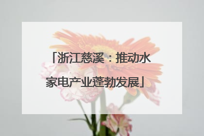 浙江慈溪：推动水家电产业蓬勃发展