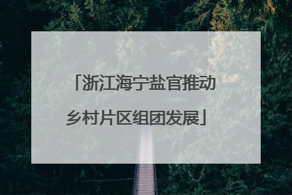 浙江海宁盐官推动乡村片区组团发展