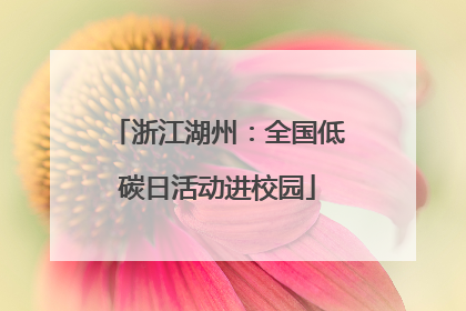 浙江湖州：全国低碳日活动进校园