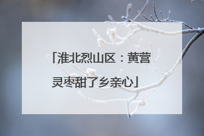 淮北烈山区：黄营灵枣甜了乡亲心