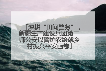 深耕“田间警务”，新疆生产建设兵团第二师公安以警护农绘就乡村振兴平安画卷
