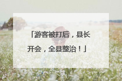 游客被打后，县长开会，全县整治！